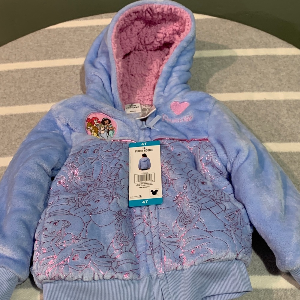 Disney Blue and Pink Plush Hoodie